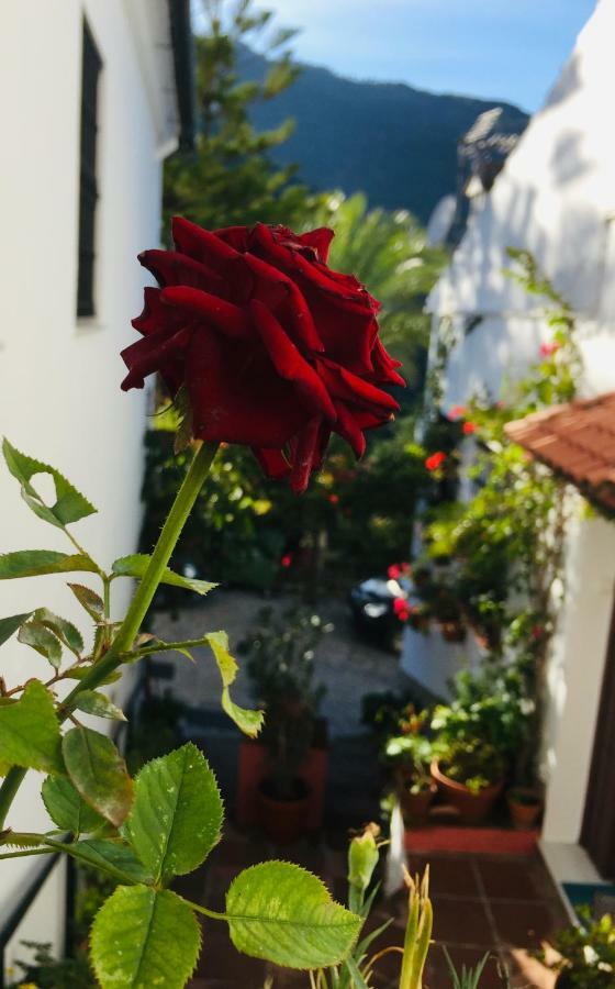 Casa El Callejon De Benamahoma Bagian luar foto